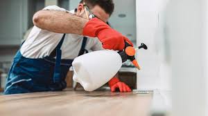 Best Termite Inspection and Treatment  in St Clairsville, OH